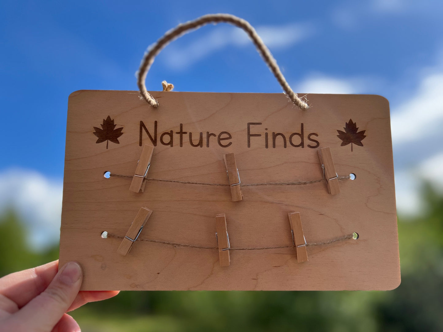 Nature Finds Peg Display Board